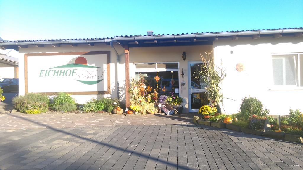 Ferienwohnung Hunsruecknest Malborn المظهر الخارجي الصورة